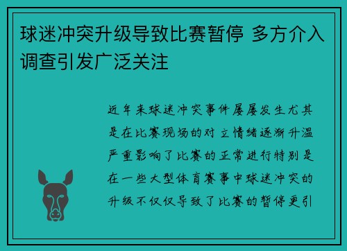 球迷冲突升级导致比赛暂停 多方介入调查引发广泛关注