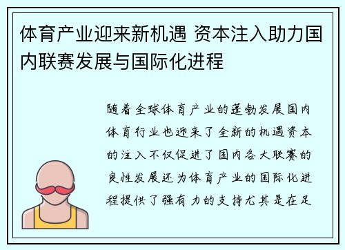 体育产业迎来新机遇 资本注入助力国内联赛发展与国际化进程